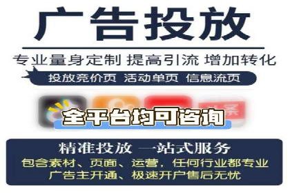 顶级SEM服务公司案例解析